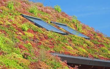 Bardsley living roof systems