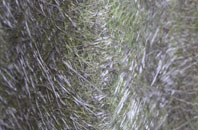 Bardsley fibreglass roof work